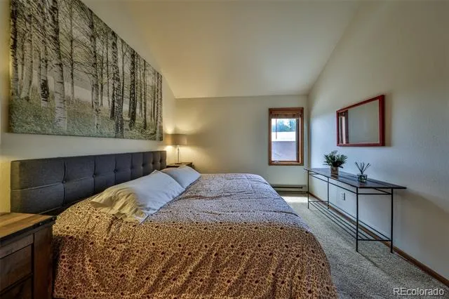 222 County Road 4421 #4D Grand Lake, CO 80447