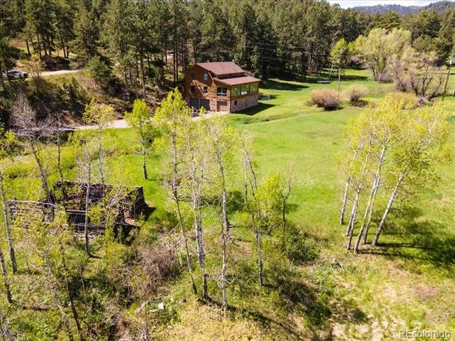 8752 S Ault Lane Morrison, CO 80465