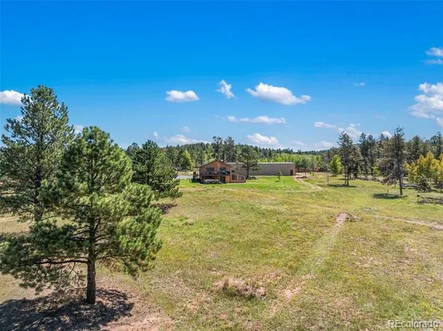 100 Mills Ranch Road Woodland Park, CO 80863