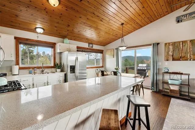 100 Mills Ranch Road Woodland Park, CO 80863