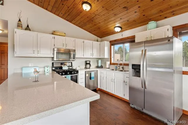 100 Mills Ranch Road Woodland Park, CO 80863