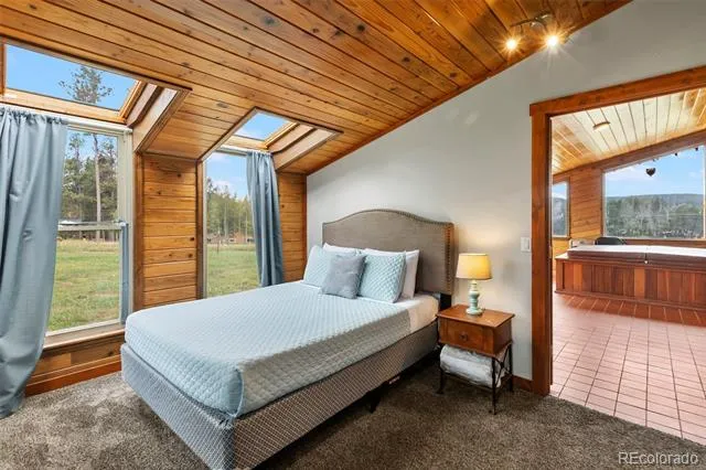 100 Mills Ranch Road Woodland Park, CO 80863