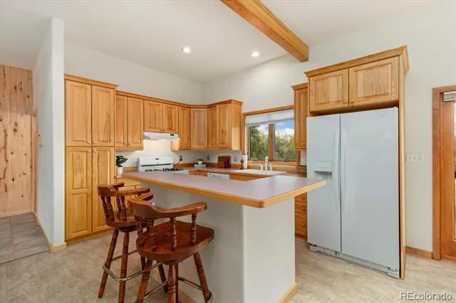 12400 County Road 261a Nathrop, CO 81236