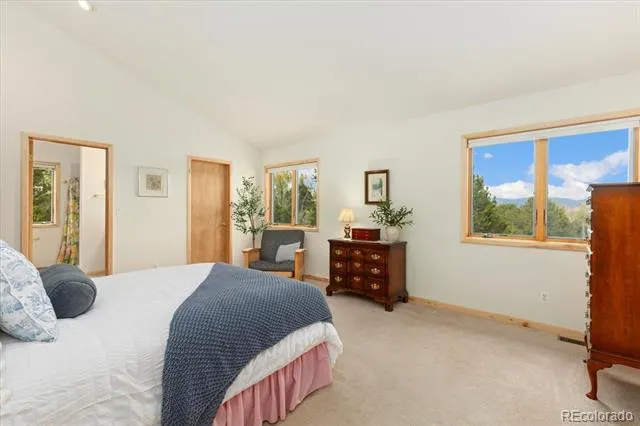 12400 County Road 261a Nathrop, CO 81236