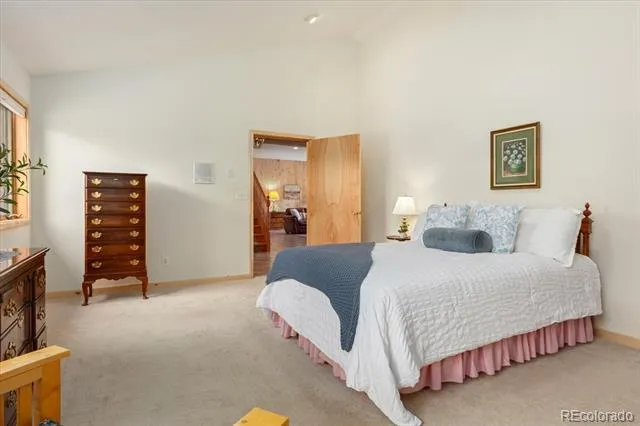 12400 County Road 261a Nathrop, CO 81236