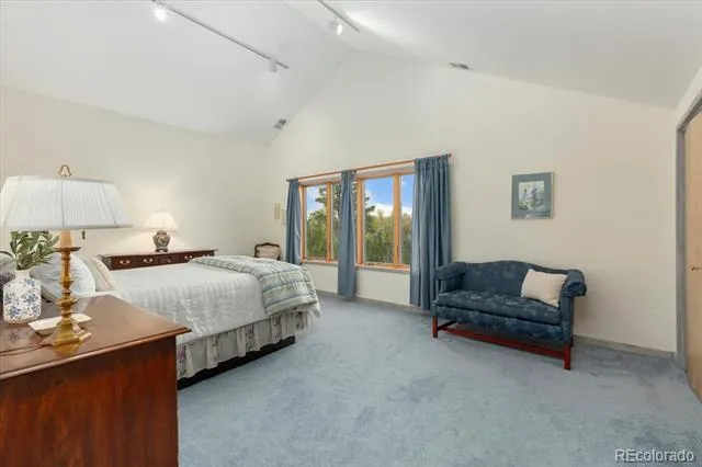 12400 County Road 261a Nathrop, CO 81236