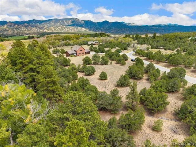 12400 County Road 261a Nathrop, CO 81236