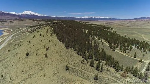 1111 George Safken Road Twin Lakes, CO 81251