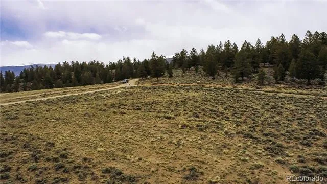 1111 George Safken Road Twin Lakes, CO 81251