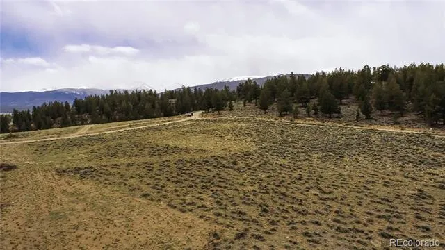 1111 George Safken Road Twin Lakes, CO 81251