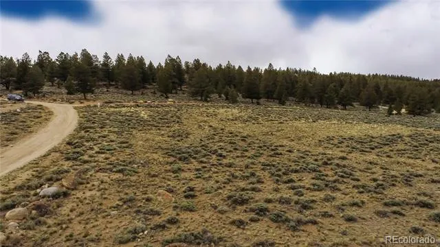 1111 George Safken Road Twin Lakes, CO 81251