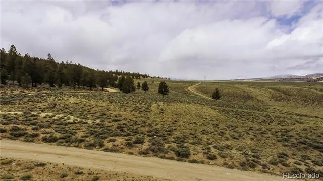 1111 George Safken Road Twin Lakes, CO 81251