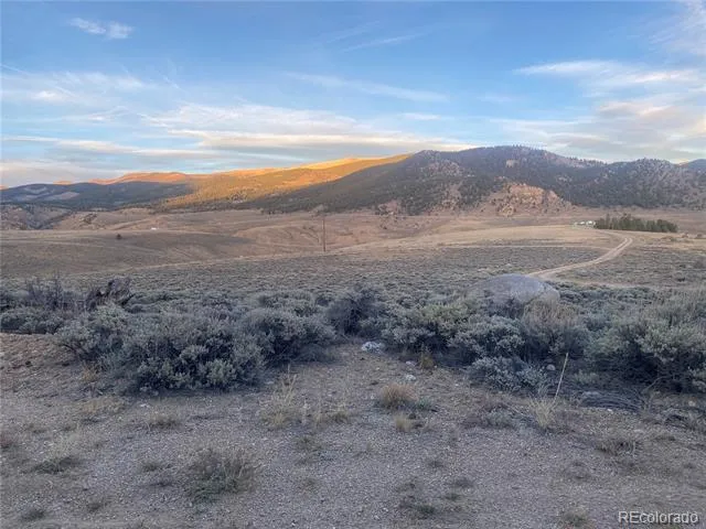 1111 George Safken Road Twin Lakes, CO 81251