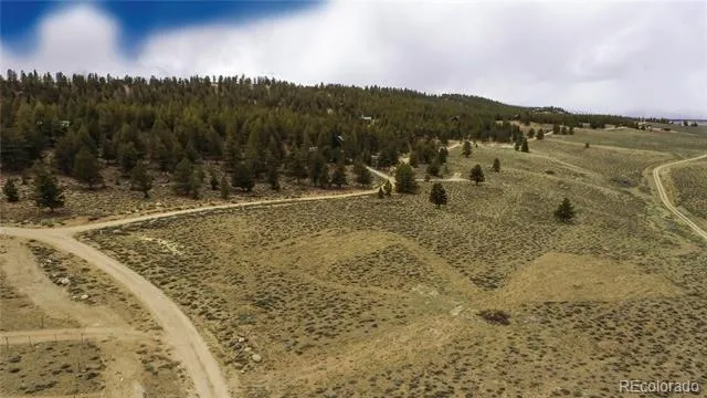 1111 George Safken Road Twin Lakes, CO 81251