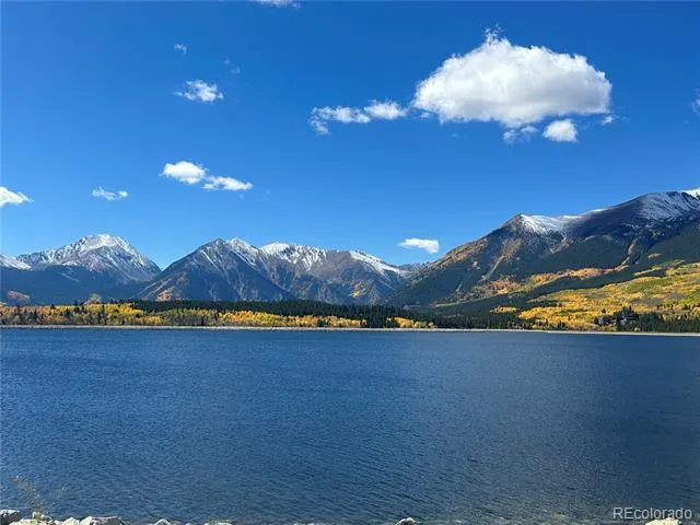 1111 George Safken Road Twin Lakes, CO 81251