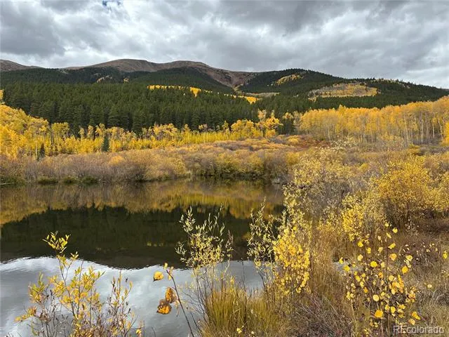 1111 George Safken Road Twin Lakes, CO 81251