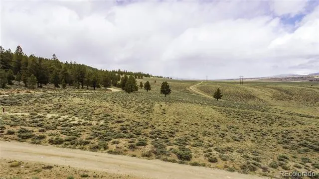 1111 George Safken Road Twin Lakes, CO 81251