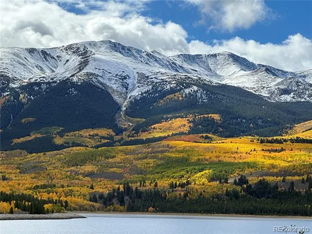 1111 George Safken Road Twin Lakes, CO 81251