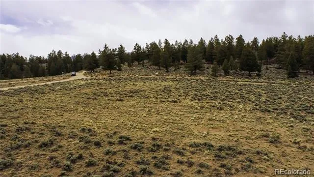 1111 George Safken Road Twin Lakes, CO 81251