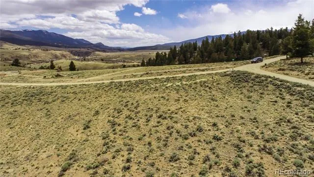 1111 George Safken Road Twin Lakes, CO 81251