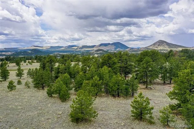 000 Doe Valley Road Guffey, CO 80820