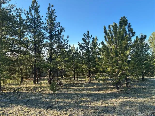 000 Doe Valley Road Guffey, CO 80820