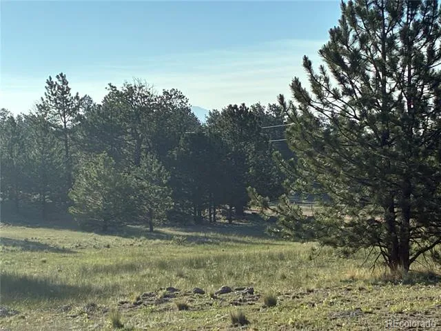 000 Doe Valley Road Guffey, CO 80820