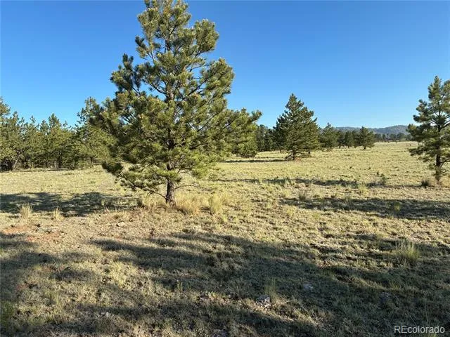 000 Doe Valley Road Guffey, CO 80820