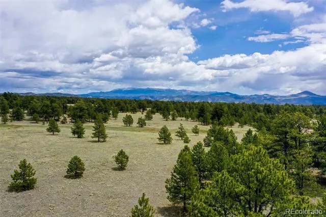 000 Doe Valley Road Guffey, CO 80820