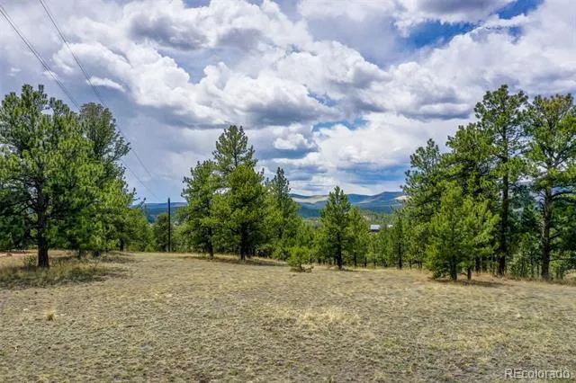 000 Doe Valley Road Guffey, CO 80820