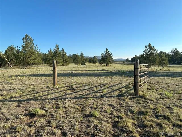 000 Doe Valley Road Guffey, CO 80820