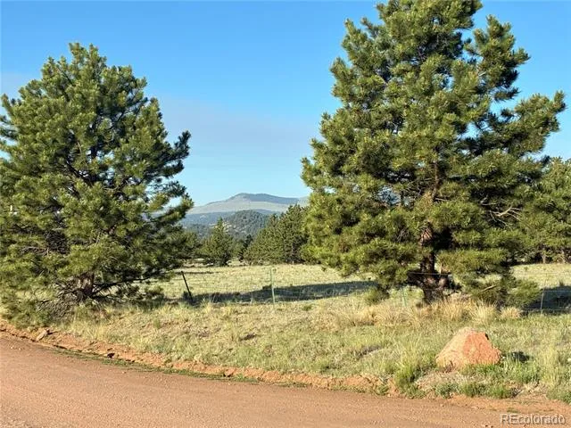 000 Doe Valley Road Guffey, CO 80820