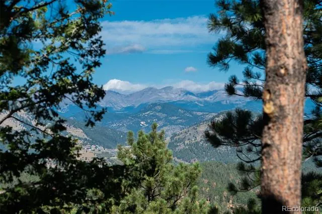 1028 Blue Grass Trail Evergreen, CO 80439