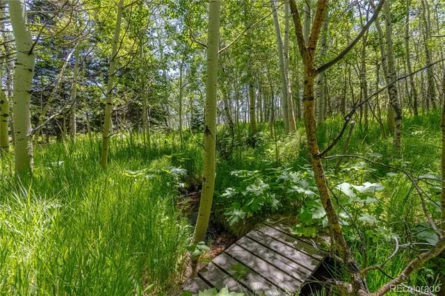 723 Chalice Drive Westcliffe, CO 81252
