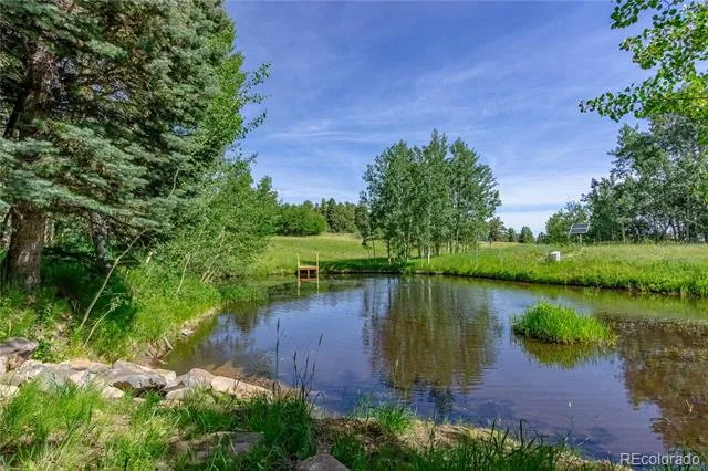723 Chalice Drive Westcliffe, CO 81252