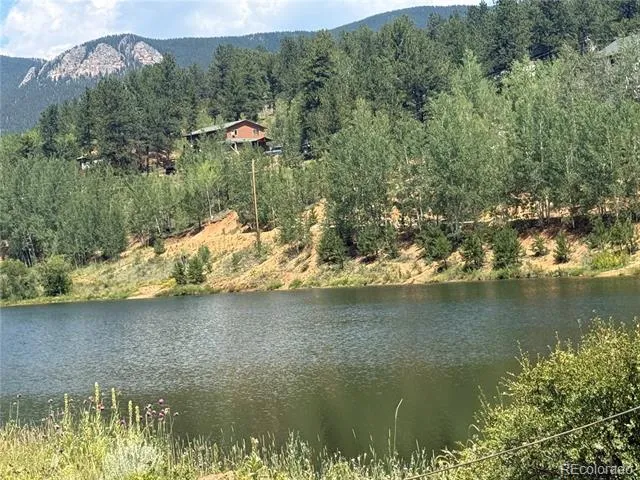 63 Fitzsimmons Road Bailey, CO 80421
