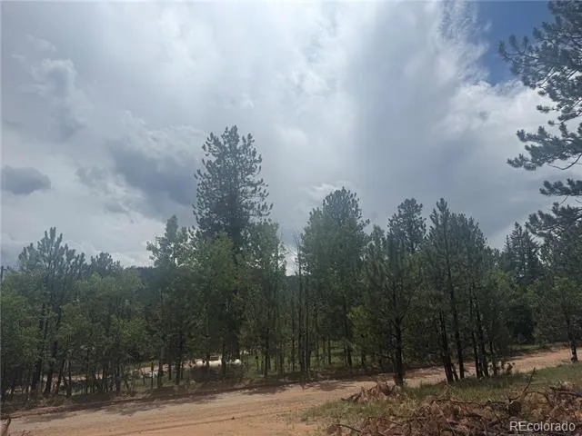 63 Fitzsimmons Road Bailey, CO 80421