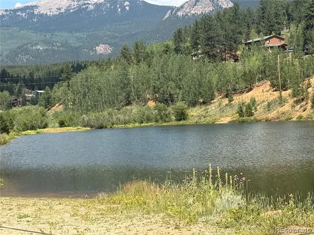 63 Fitzsimmons Road Bailey, CO 80421