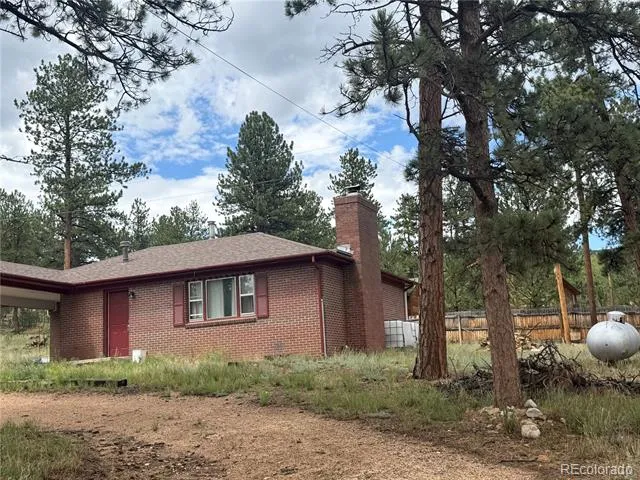 63 Fitzsimmons Road Bailey, CO 80421