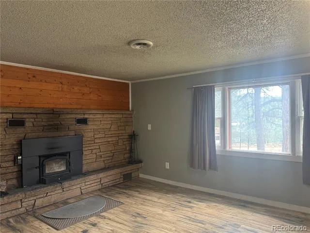 63 Fitzsimmons Road Bailey, CO 80421