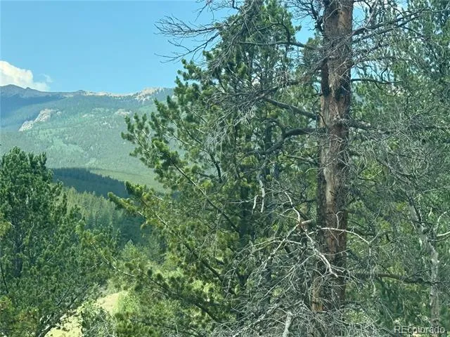 63 Fitzsimmons Road Bailey, CO 80421