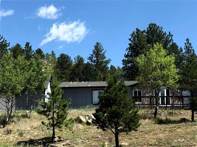 364 Stage Coach Drive Bailey, CO 80421