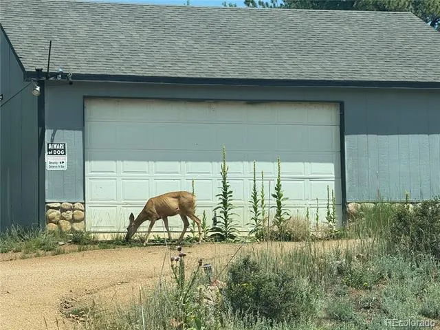 364 Stage Coach Drive Bailey, CO 80421