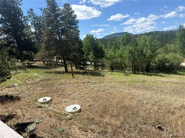 364 Stage Coach Drive Bailey, CO 80421