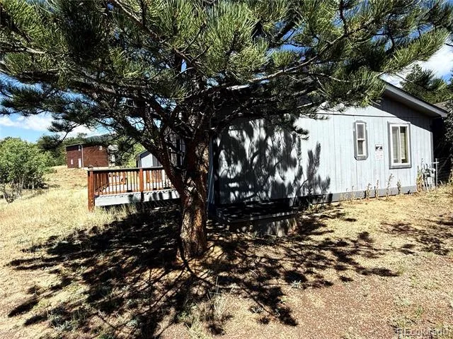 364 Stage Coach Drive Bailey, CO 80421