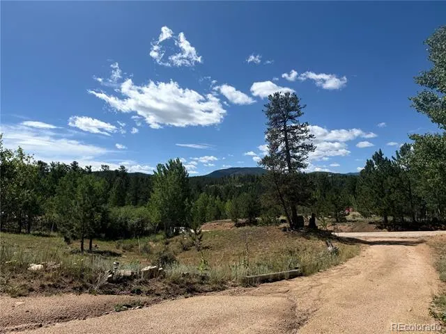 364 Stage Coach Drive Bailey, CO 80421