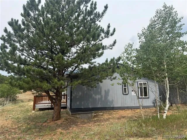 364 Stage Coach Drive Bailey, CO 80421