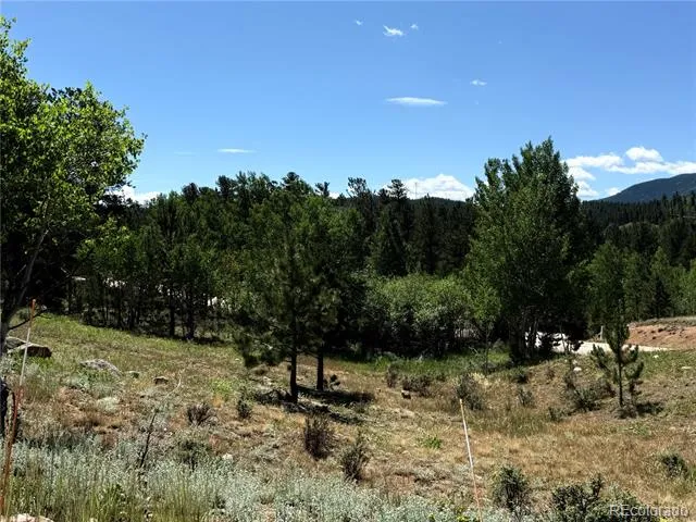 364 Stage Coach Drive Bailey, CO 80421