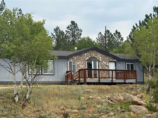 364 Stage Coach Drive Bailey, CO 80421