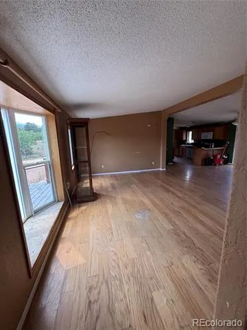 364 Stage Coach Drive Bailey, CO 80421